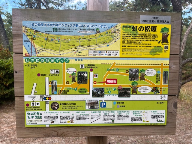 虹の松原