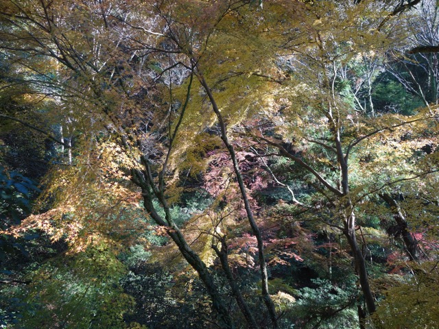 神峯山寺