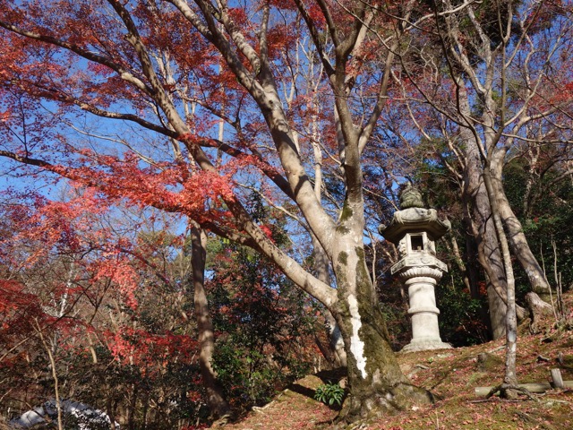 神峯山寺