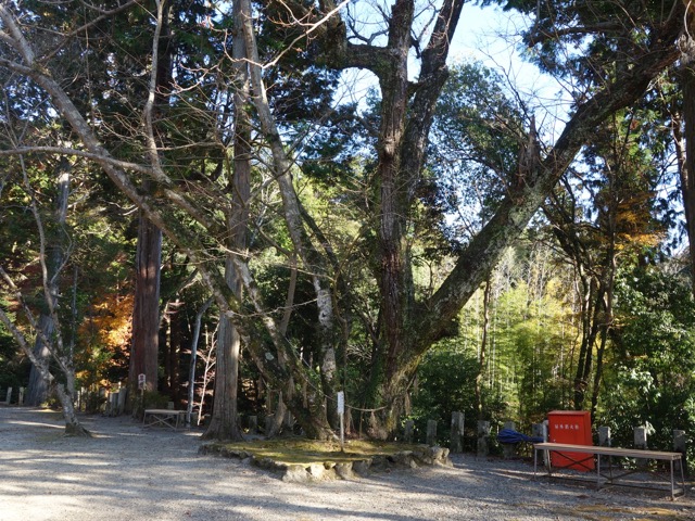 神峯山寺
