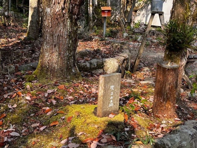 吹上の森