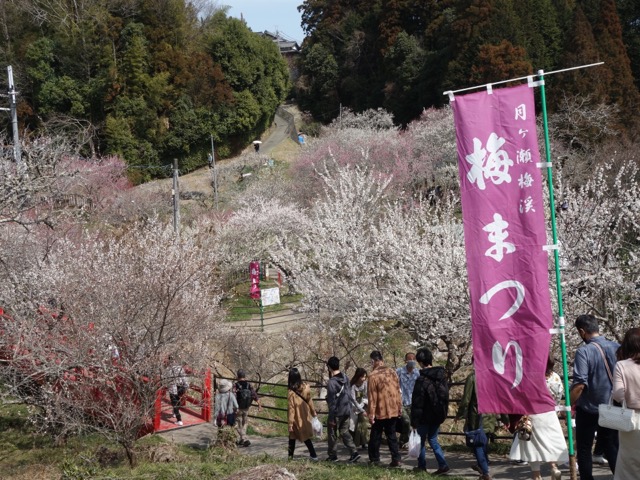 月ヶ瀬梅渓