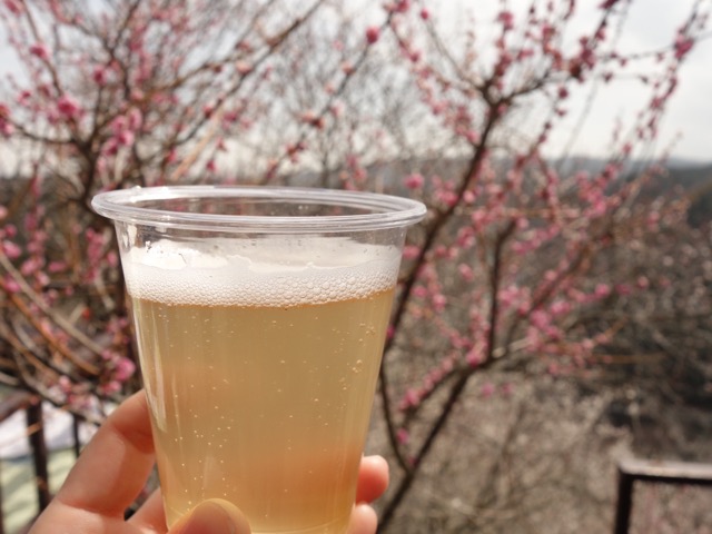 月ヶ瀬梅渓