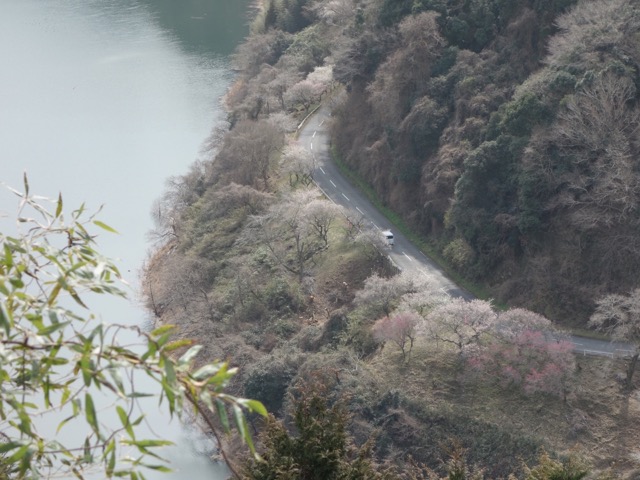 月ヶ瀬梅渓
