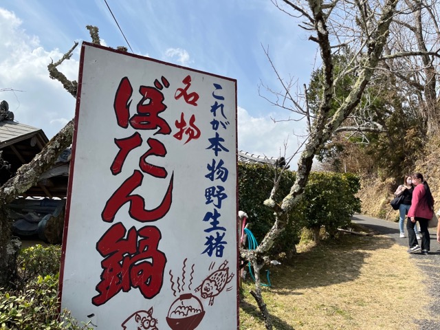 月ヶ瀬梅渓
