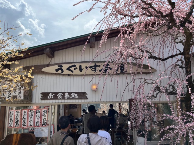 月ヶ瀬梅渓