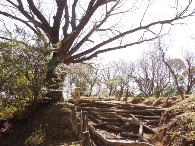 会下山遺跡