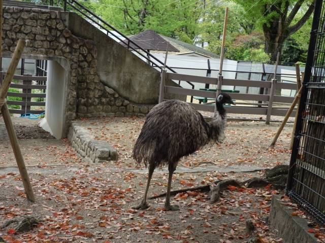 五月山動物園