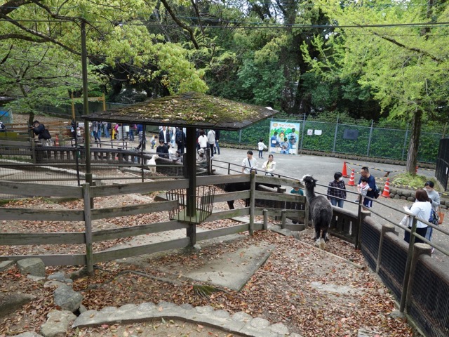 五月山動物園