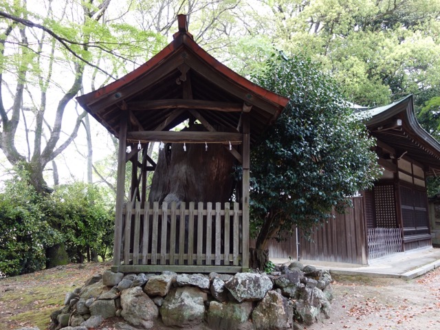 伊居太神社