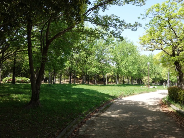 岸和田市中央公園