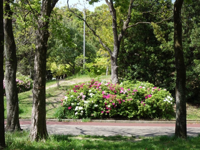 岸和田市中央公園