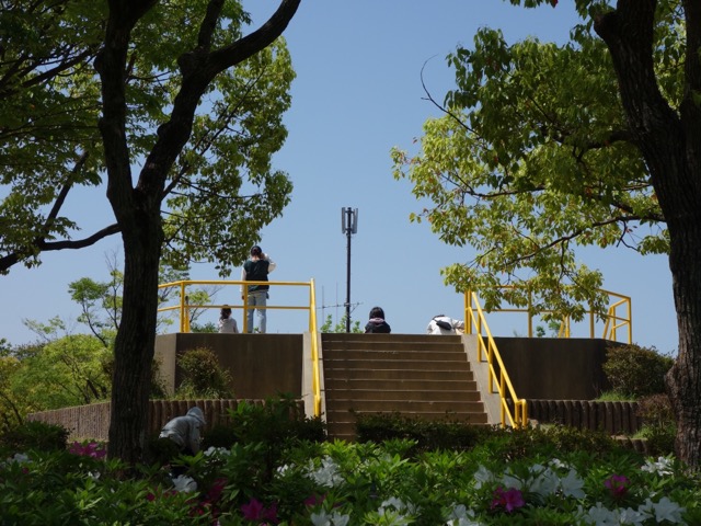 岸和田市中央公園
