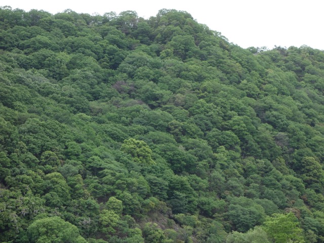 觜崎の屏風岩