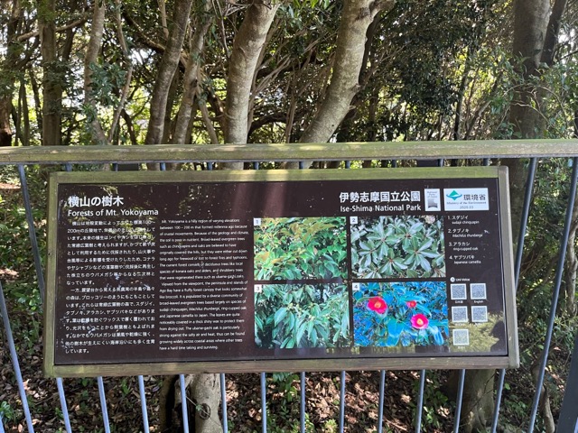 横山展望台