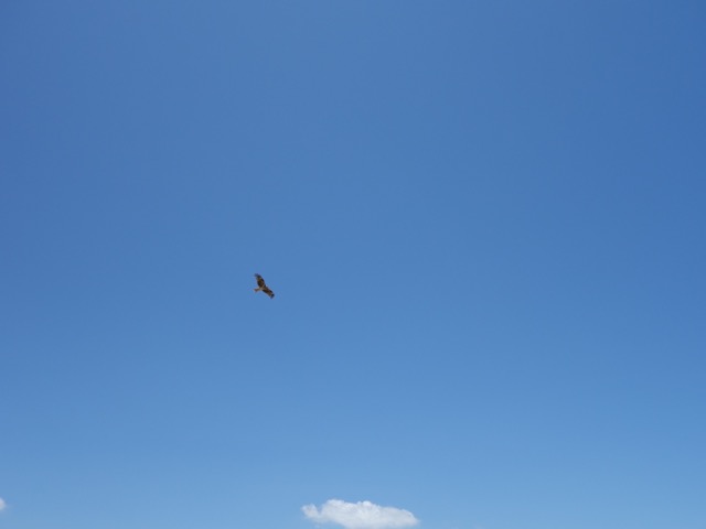 片男波公園・片男波海水浴場
