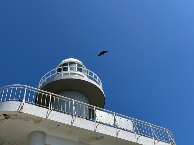 和歌浦