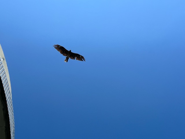 和歌浦