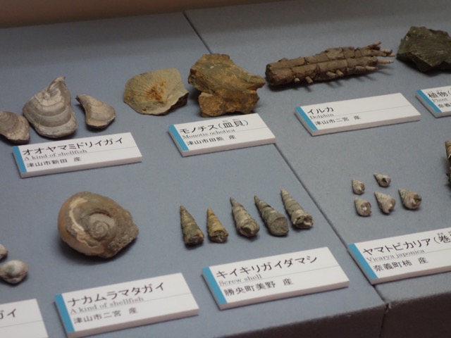津山郷土博物館
