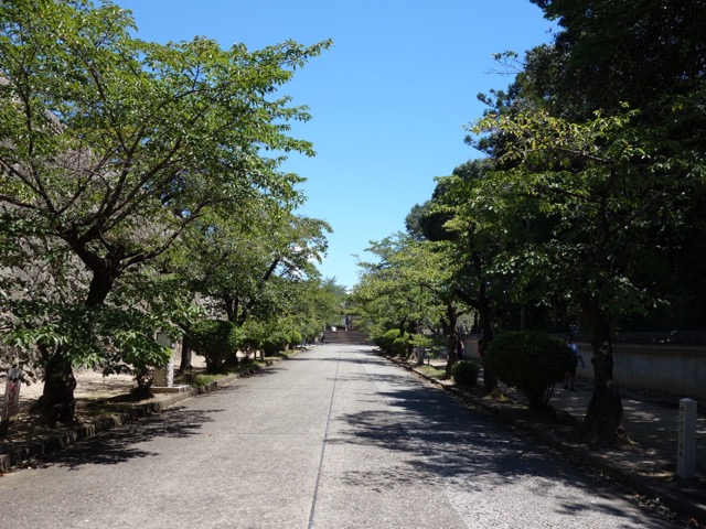 津山城跡(鶴山公園)
