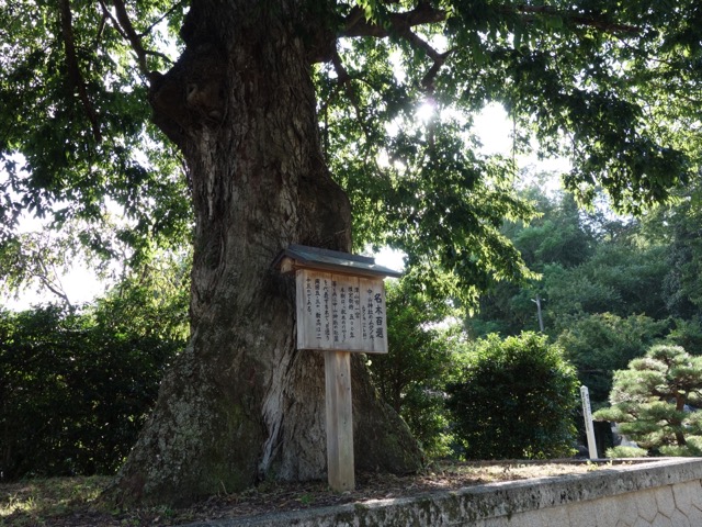 中山神社