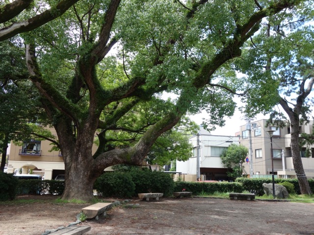 岡公園