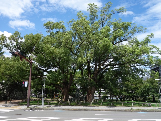 岡公園