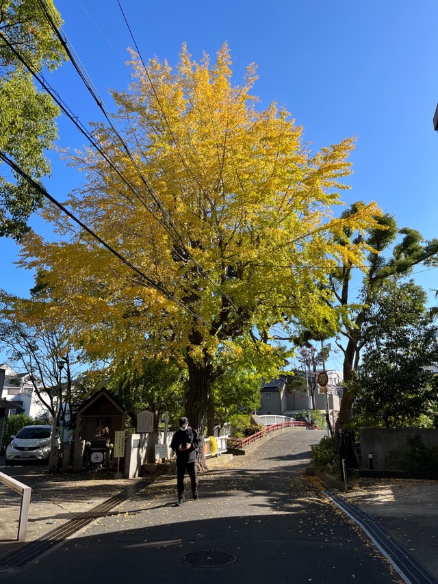 東光院 萩の寺