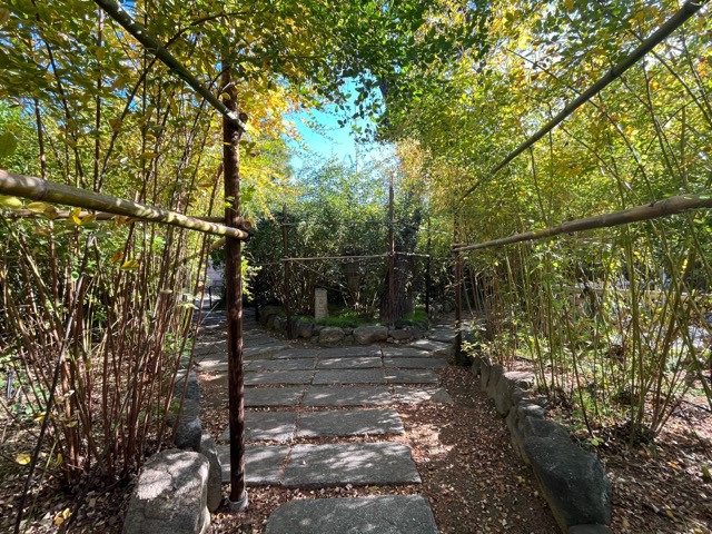 東光院 萩の寺