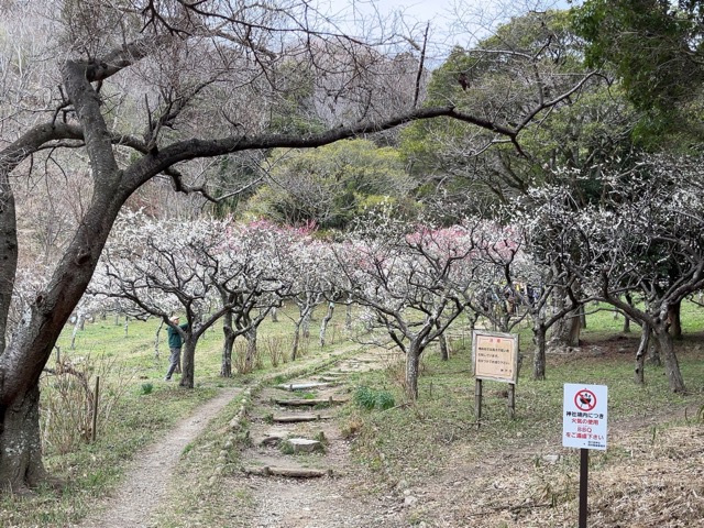 保久良神社