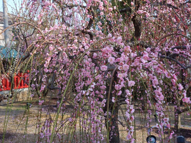 綱敷天満宮
