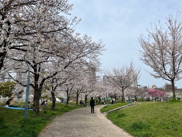 扇町公園