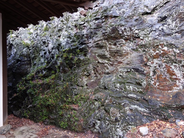 琴ノ浦温山荘園