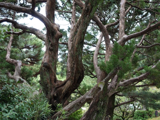 琴ノ浦温山荘園