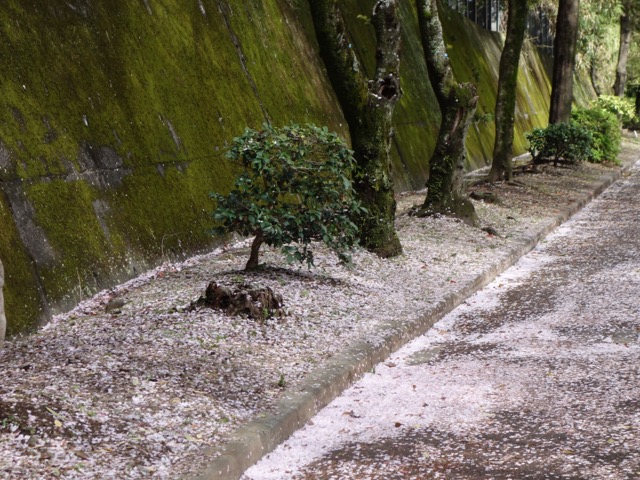 鵬雲洞