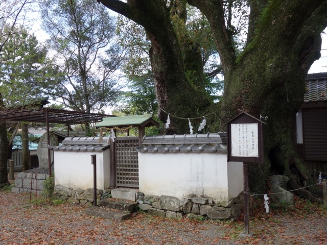 藤白神社