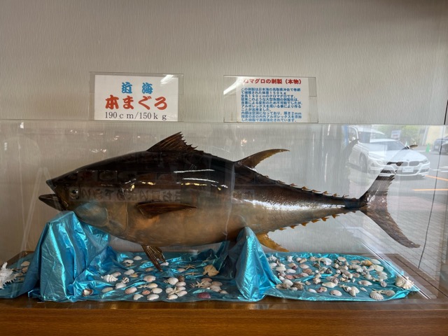 さかな大食堂 渚