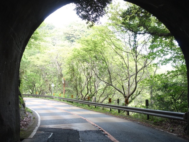 大崩海岸