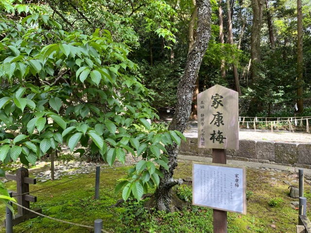 久能山東照宮