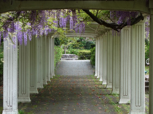 城北公園