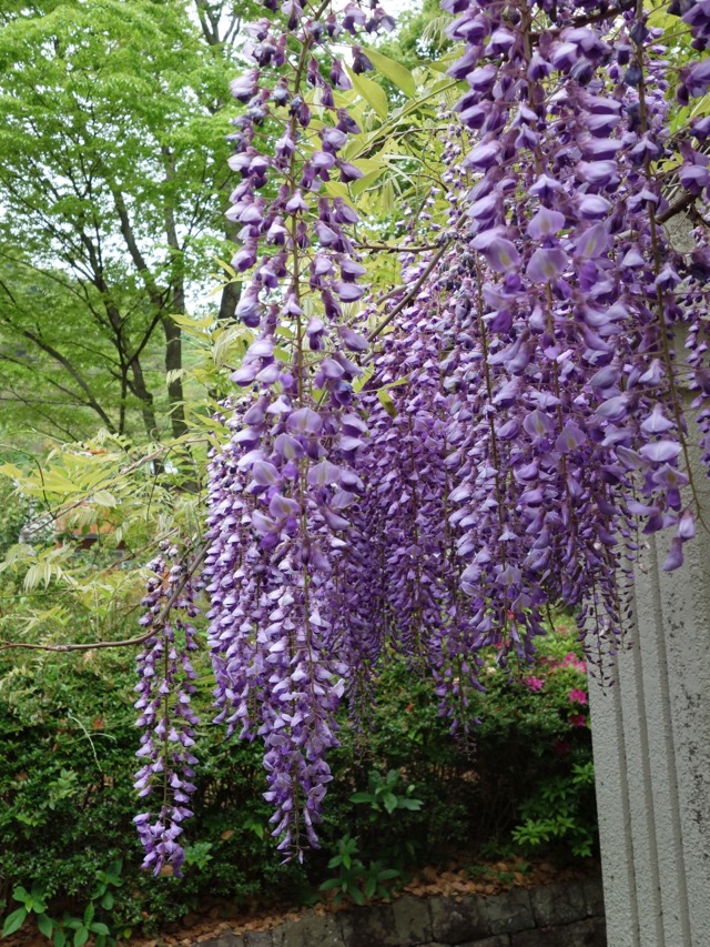城北公園