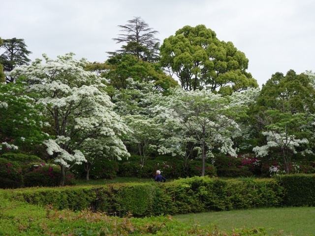 城北公園