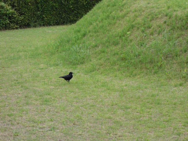 城北公園