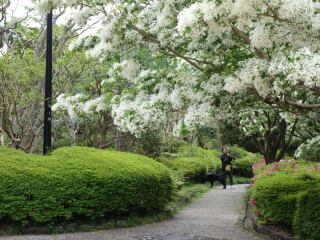 城北公園