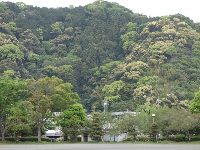 城北公園