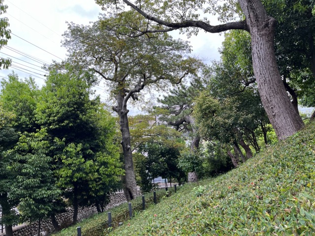 御願塚古墳