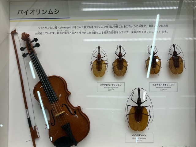 伊丹市昆虫館