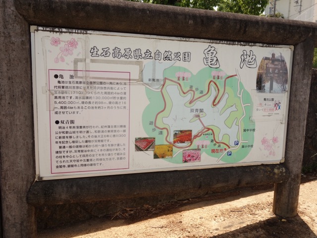 亀池