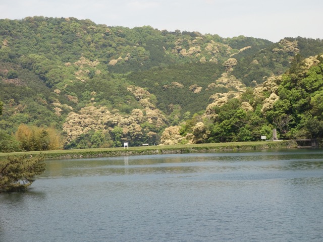亀池