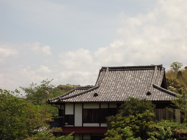 亀池
